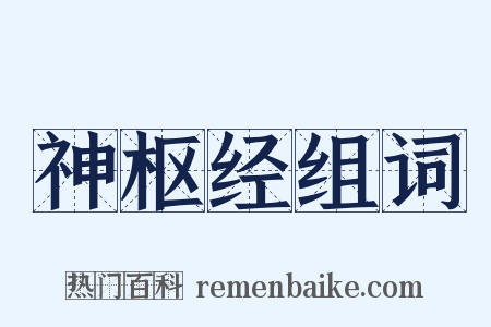 神枢经组词是什么意思的图片
